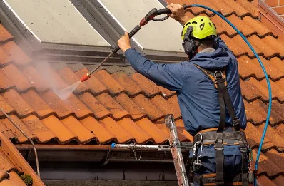 Démoussage et hydrofuge de toiture à Razines